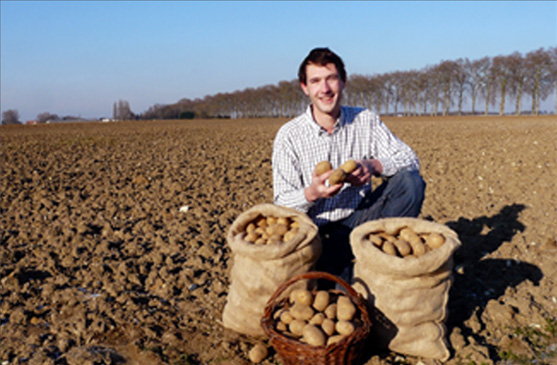 ferme d'éprunes - Vente de pomme de terre à la ferme en seine et marne